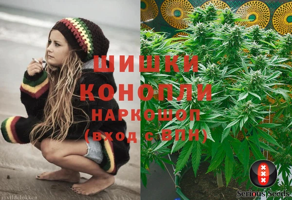 PSILOCYBIN Белокуриха