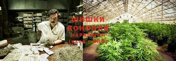 PSILOCYBIN Белокуриха