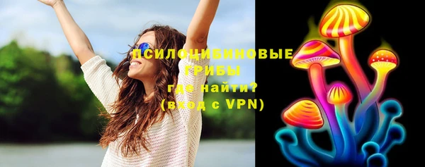 PSILOCYBIN Белокуриха