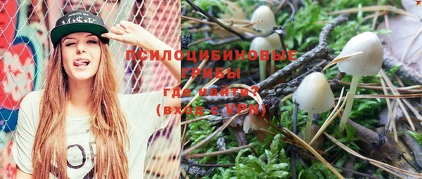 PSILOCYBIN Белокуриха