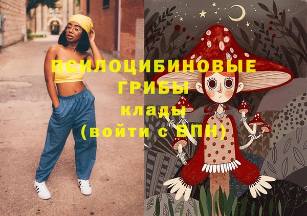 мдпв Беломорск