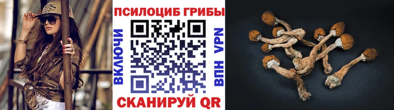 Псилоцибиновые грибы Cubensis Кушва
